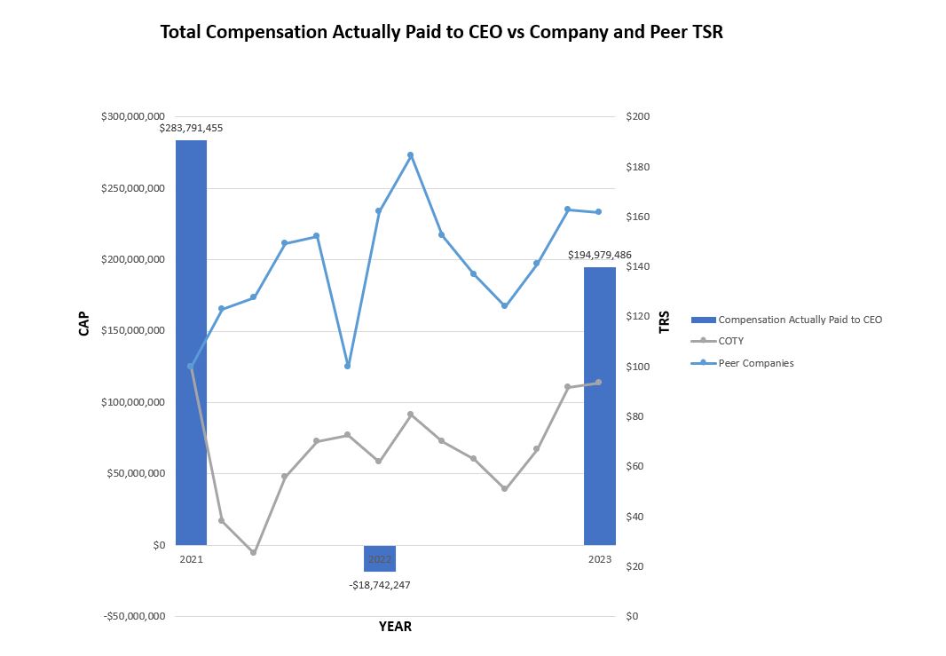 CEO CAP GRAPH3.jpg